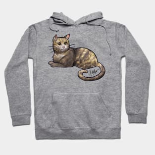 Cat - American Shorthair - Tortoise Shell Hoodie